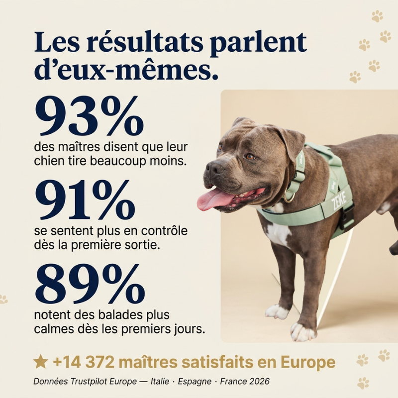 Veltrio – Harnais Anti-Traction Chien | Contrôle Total Sans Dressage