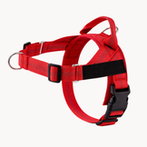 Veltrio – Harnais Anti-Traction Chien | Contrôle Total Sans Dressage