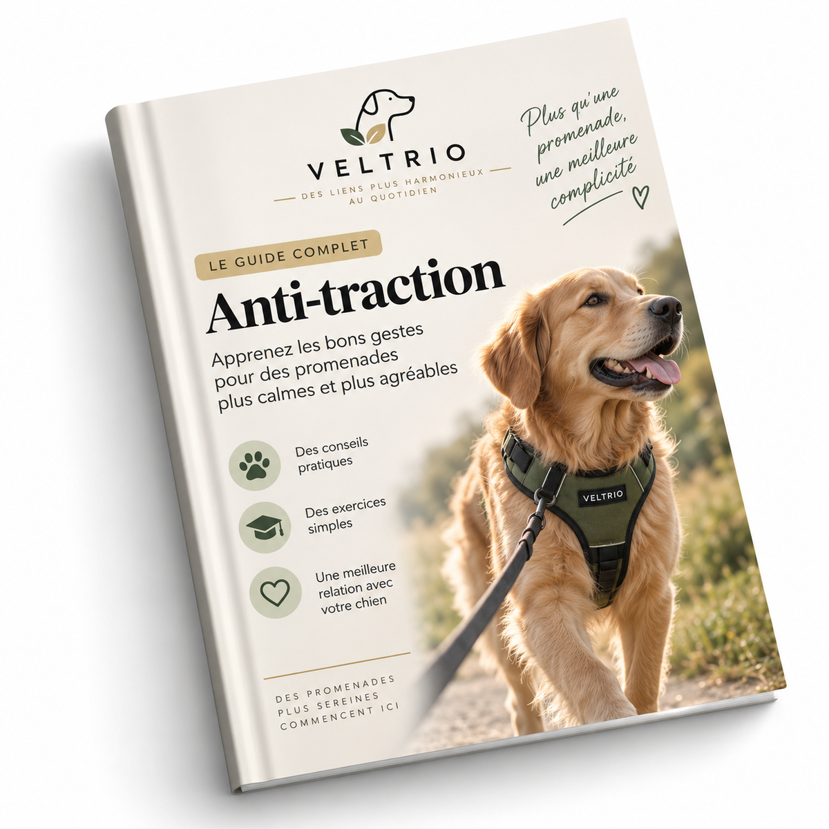 Guide Anti-Traction Veltrio™